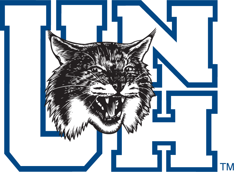 New Hampshire Wildcats 1993-2000 Alternate Logo DIY iron on transfer (heat transfer)